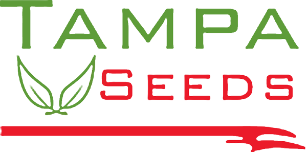 Tampa Seeds